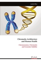 Chromatin Architecture and Human Health: Chromosomes, Chromatin and Genomic Stability 9999325440 Book Cover