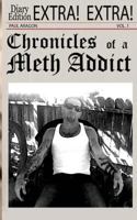 Chronicles of a Meth Addict: Women in Recovery 1519119100 Book Cover