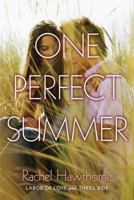 One Perfect Summer: Labor of Love and Thrill Ride 006232134X Book Cover