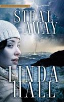 Steal Away (Teri Blake-Addison Mystery Series) 073943490X Book Cover