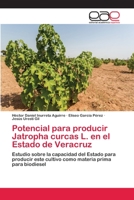 Potencial para producir Jatropha curcas L. en el Estado de Veracruz: Estudio sobre la capacidad del Estado para producir este cultivo como materia prima para biodiesel 3848456168 Book Cover