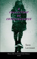 A Collection of Consciousness 9373149377 Book Cover