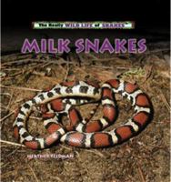 Milk Snakes (The Really Wild Life of Snakes) 0823967204 Book Cover