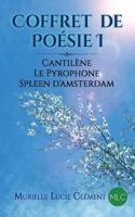 Coffret de Poésie I: Cantilène, Le Pyrophone, Spleen d'Amsterdam 2374320146 Book Cover