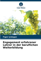 Engagement erfahrener Lehrer in der beruflichen Weiterbildung 620908849X Book Cover