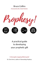 Prophesy!: A practical guide to developing your prophetic gift and its use in the local church 1739169832 Book Cover