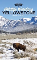 Wildlife Watching: Yellowstone 1714572331 Book Cover