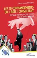 Les 10 commandements du « bon » consultant: Petit guide pratique pour faire carrière dans un cabinet de conseil (Dynamiques D'Entreprises) (French Edition) 2336492229 Book Cover
