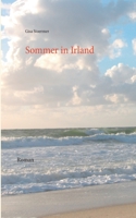 Sommer in Irland: Roman 3739241047 Book Cover