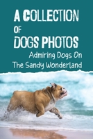 A Collection Of Dogs Photos: Admiring Dogs On The Sandy Wonderland: Cute Dog Pictures B09DF8C26M Book Cover