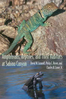 Amphibians, Reptiles, And Their Habitats at Sabino Canyon (The Southwest Center Series) 0816524955 Book Cover