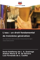 L'eau : un droit fondamental de troisième génération: Son importance dans le secteur de la production agro-industrielle de bière (French Edition) 6207399552 Book Cover