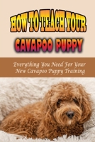 How To Teach Your Cavapoo Puppy: Everything You Need For Your New Cavapoo Puppy Training: Fun Facts About Cavapoo B09CHDZVVB Book Cover