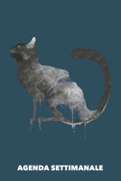 Agenda Settimanale: Gatto Nero A5 manoscritto floreale - Agenda con Pianificatore Settimanale 52 settimane per Proprietario del Gatto (azzurro) (Italian Edition) 1689888962 Book Cover