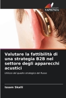 Valutare la fattibilità di una strategia B2B nel settore degli apparecchi acustici (Italian Edition) 6208328780 Book Cover