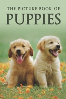 The Picture Book of Puppies: A Gift Book for Alzheimer's Patients and Seniors with Dementia 1676950230 Book Cover