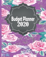 Budget Planner: 2020 Daily Expense Tracker Detailed Weekly Personal Financial Workbook 1690874643 Book Cover