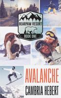 Avalanche 1946836168 Book Cover