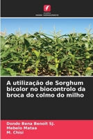 A utilização de Sorghum bicolor no biocontrolo da broca do colmo do milho (Portuguese Edition) 6209950558 Book Cover
