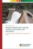 Modelo híbrido para solução numérica da ruptura de barragens: Uma formulação baseada nas equações de Euler 6139740827 Book Cover