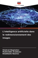 L'intelligence artificielle dans le redimensionnement des images (French Edition) 6208107113 Book Cover