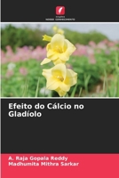 Efeito do Cálcio no Gladíolo (Portuguese Edition) 6208354366 Book Cover