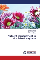 Nutrient management in rice fallow sorghum 365977555X Book Cover