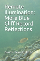 Remote Illumination: More Blue Cliff Record Reflections 1709475757 Book Cover
