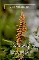Flashes of Beauty B0GZHDP3W3 Book Cover