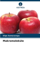 Makromoleküle (German Edition) 6207990684 Book Cover