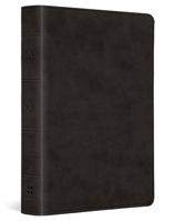ESV Value Large Print Compact Bible, Red Letter (Trutone, Black) B0DWNHB333 Book Cover