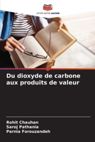 Du dioxyde de carbone aux produits de valeur (French Edition) 6207694449 Book Cover