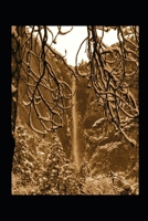 Ruin of Salvation (Havenwood) B0FH58X348 Book Cover