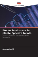 �tudes in vitro sur la plante Ephedra foliata 6204110705 Book Cover