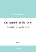 Les hématomes de l’âme (French Edition) 2414617594 Book Cover