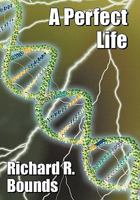 A Perfect Life 1452097313 Book Cover