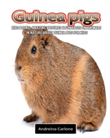 Kids Books: Amazing Pictures & Fun Facts on Animals in Nature about Guinea pigs for Kids 1703719670 Book Cover