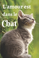 L'amour est dans le chat: : Carnet de notes - Beau carnet lign� � remplir de vos pens�es, vos r�flexions, de la vie avec votre chat ... - carnet intime- carnet 100 pages - Cadeau id�al pour les fans,  1661264042 Book Cover