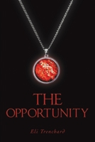 The Opportunity B0C7WDRY2Y Book Cover