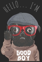 Hundeliebhaber Hund: Wochenplaner Januar bis Dezember 2020 - 1 Woche auf einen Blick - DIN A5 Monatsplaner Jahresplaner Jahr Terminplaner Checklisten ... Hundefreund Tierfreund (German Edition) 1678701149 Book Cover