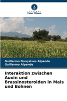 Interaktion zwischen Auxin und Brassinosteroiden in Mais und Bohnen 6205961989 Book Cover