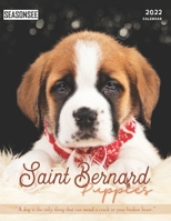 Saint Bernard Puppies Calendar 2022: Gifts for Friends and Family with 18-month Monthly Calendar in 8.5x11 inch B0914WWK2B Book Cover