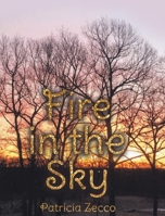 Fire in the Sky B0CJYGVMXJ Book Cover