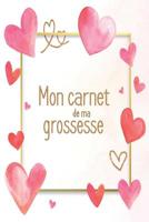 Mon carnet de ma grossesse: Mon album souvenir de ma grossesse 1080809066 Book Cover