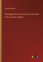 Développement de la vessie, de la prostate et du canal de l'uréthre 3385008263 Book Cover