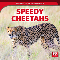 Speedy Cheetahs 1725317125 Book Cover
