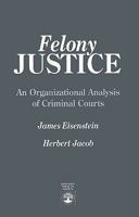 Felony Justice 0819180882 Book Cover