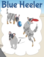 Blue Heeler: Australian Cattle Dog Notebook with Illustrations for Writing, Doodling and Colouring 1089127871 Book Cover