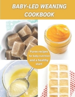 Baby-Led Weaning Cookbook: Puree recipes for baby nutrition and a healthy start B092P6ZJLT Book Cover