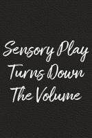 Sensory Play Turns Down The Volume: BDSM, Kink, and Fetish Scene Reflection and Growth Log 1071444662 Book Cover